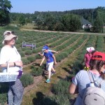 img_20190613_100115