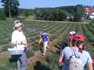 img_20190613_100115